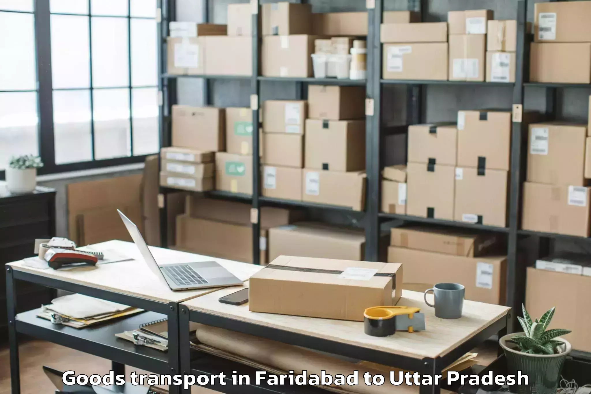 Quality Faridabad to Misrikh Goods Transport